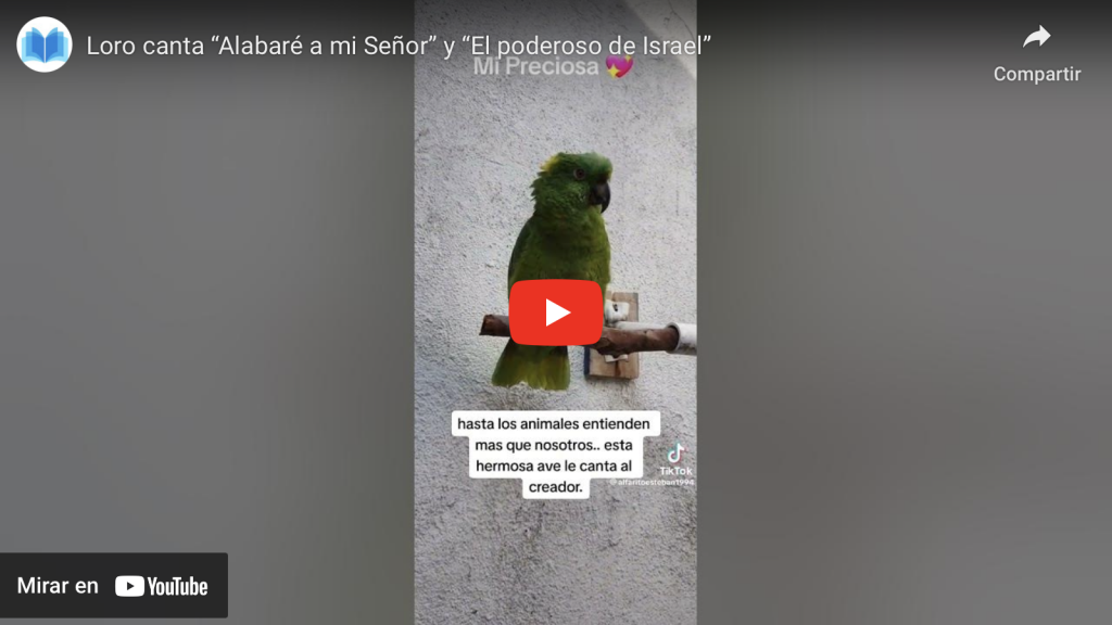 VIDEO - Loro canta alabaré a mi Señor y el Poderoso de Israel