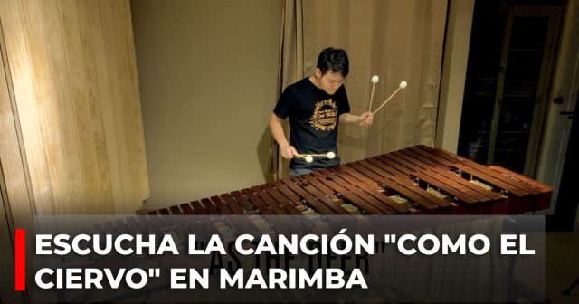 Escucha la canción «Como el ciervo» en marimba